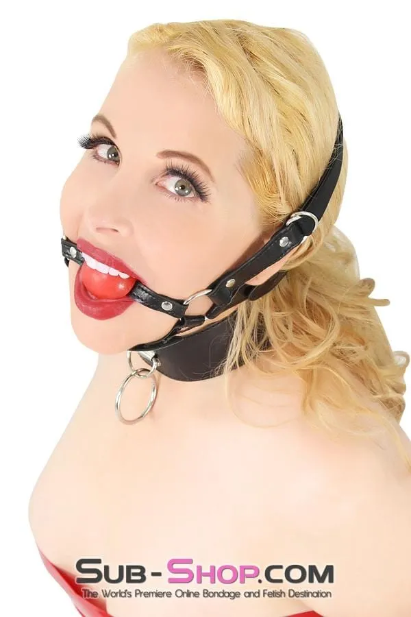 7864DL      Over the Top Ball Gag Trainer, Red Ball - MEGA Deal