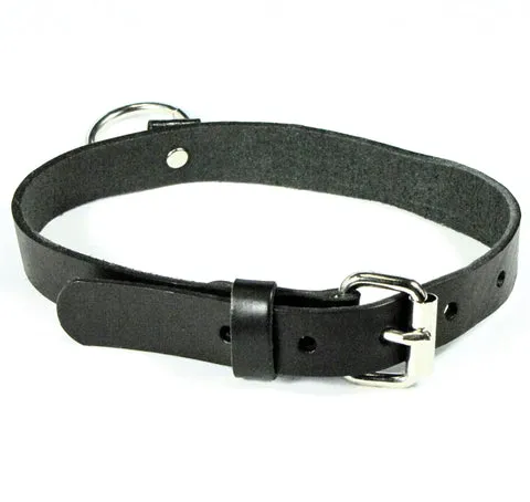 Black Leather Collar w/ Silver O Ring Detail