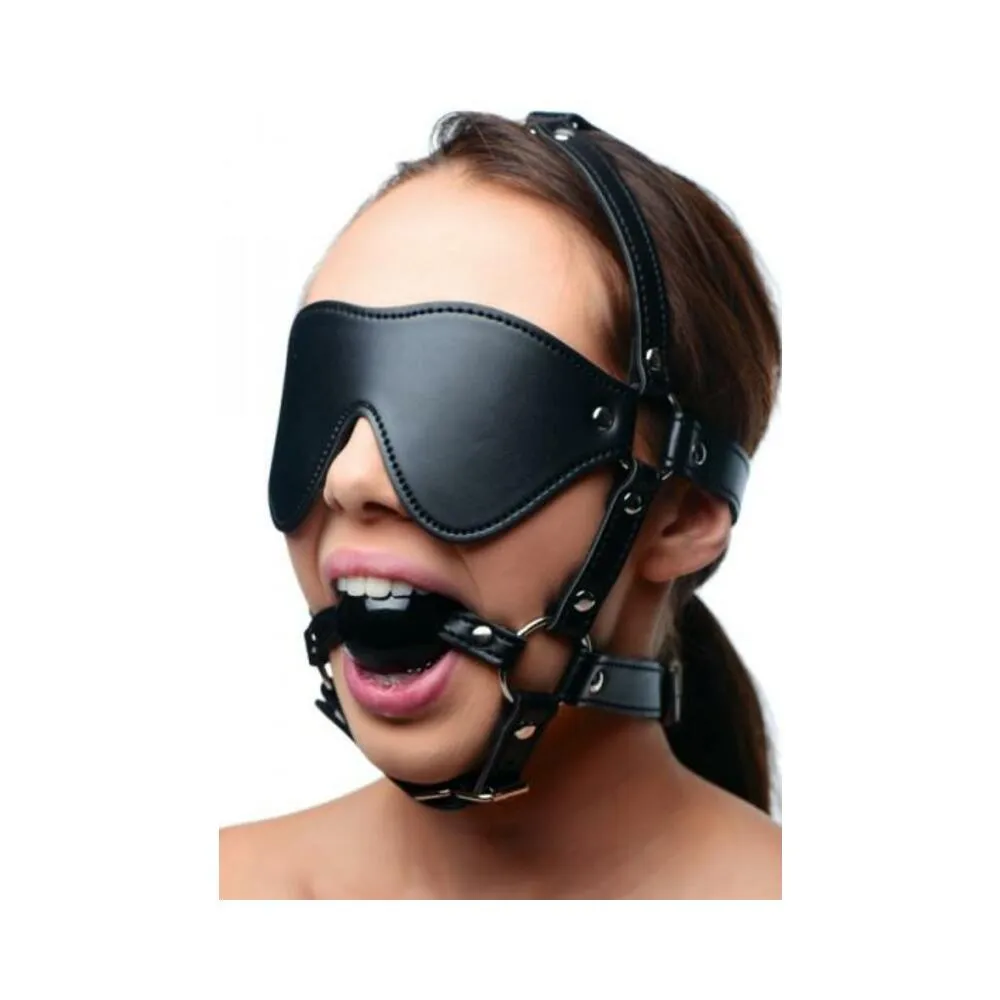 Blindfold Harness   Ball Gag