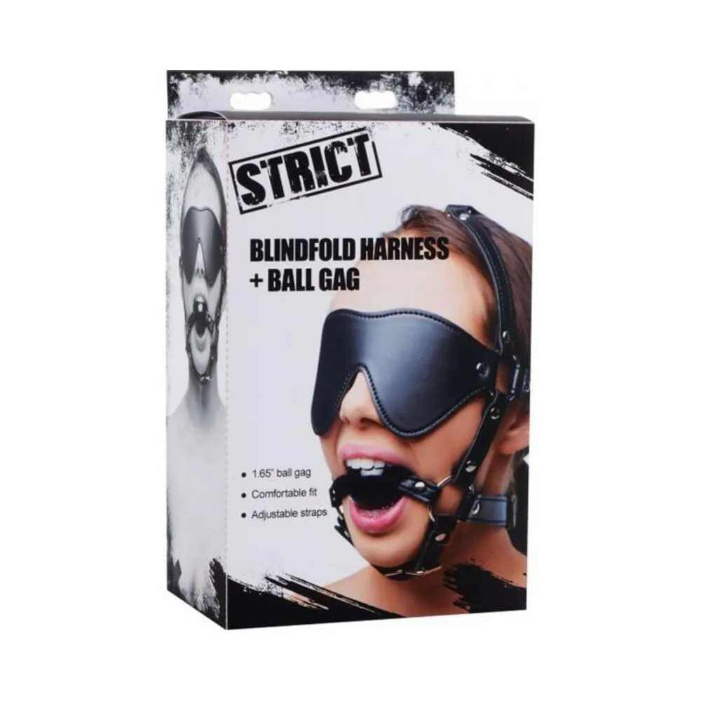 Blindfold Harness   Ball Gag