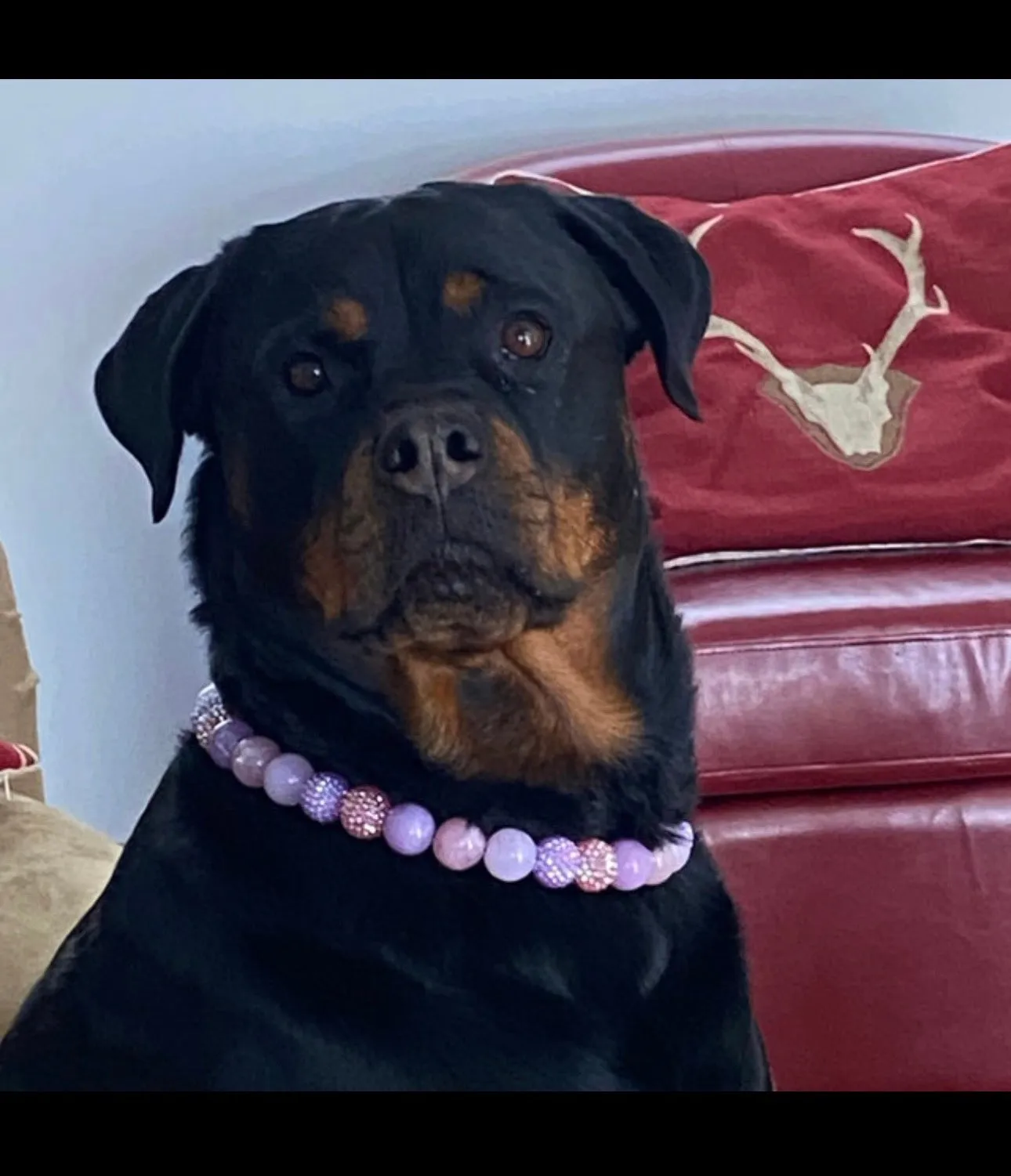 Duchess Glam Bead Collar