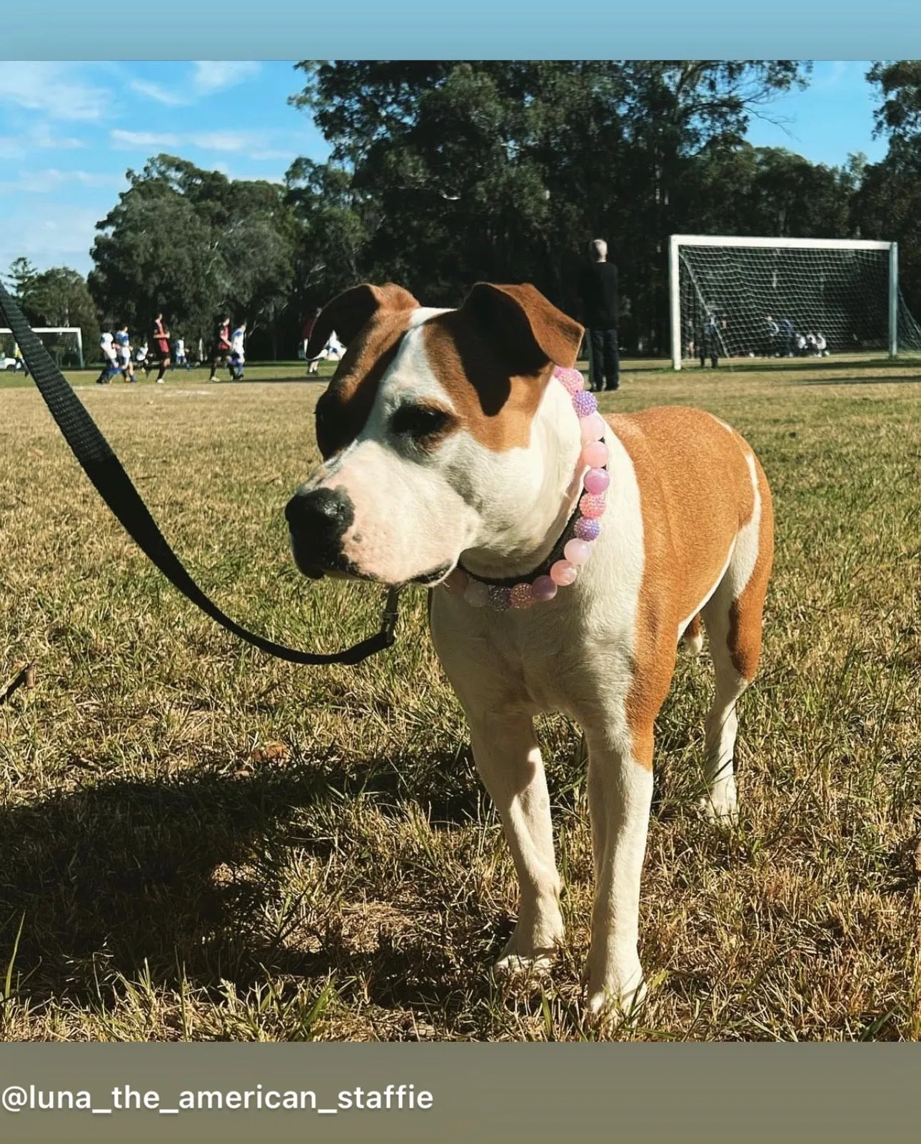 Duchess Glam Bead Collar