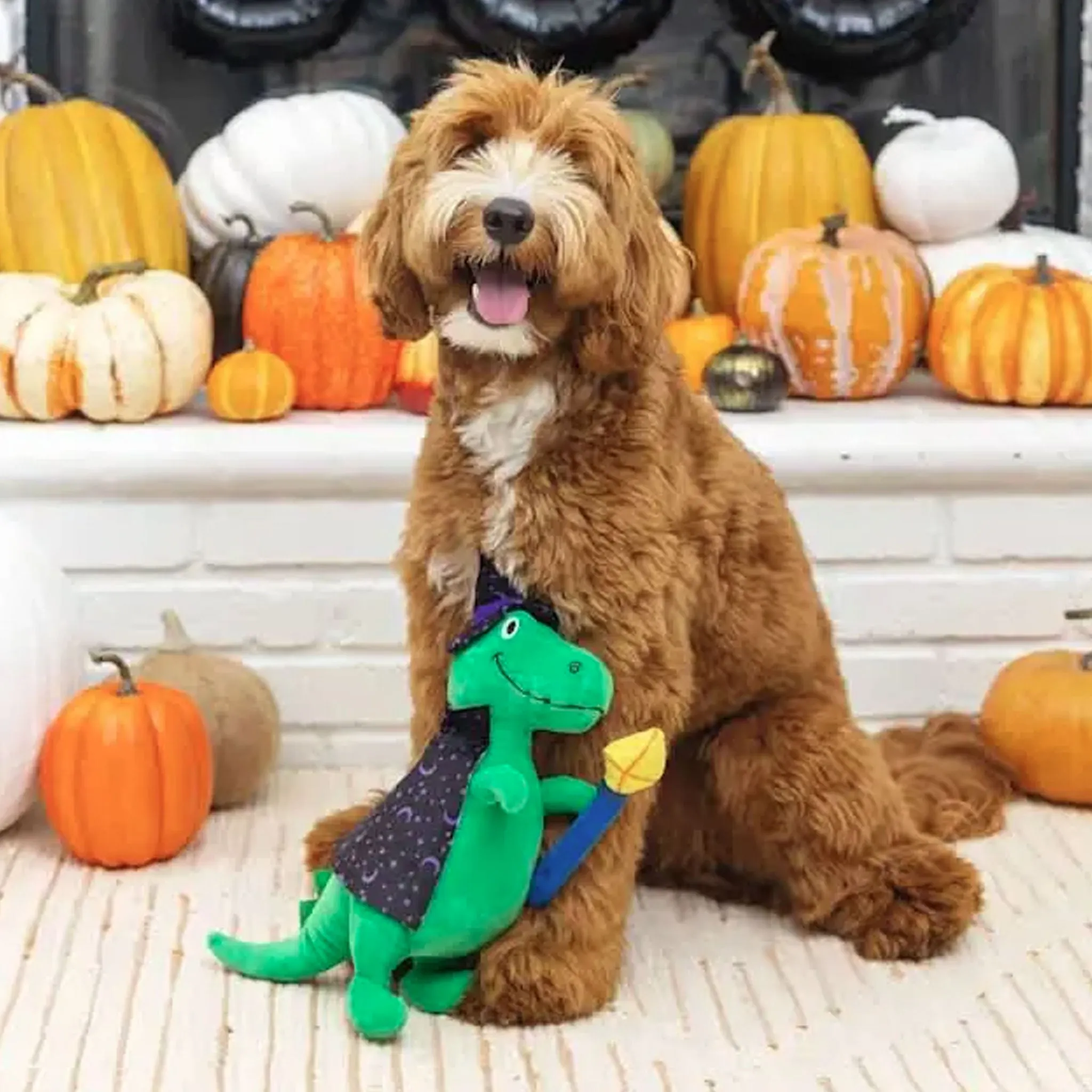 Fringe Spell-a-saurus Dog Toy