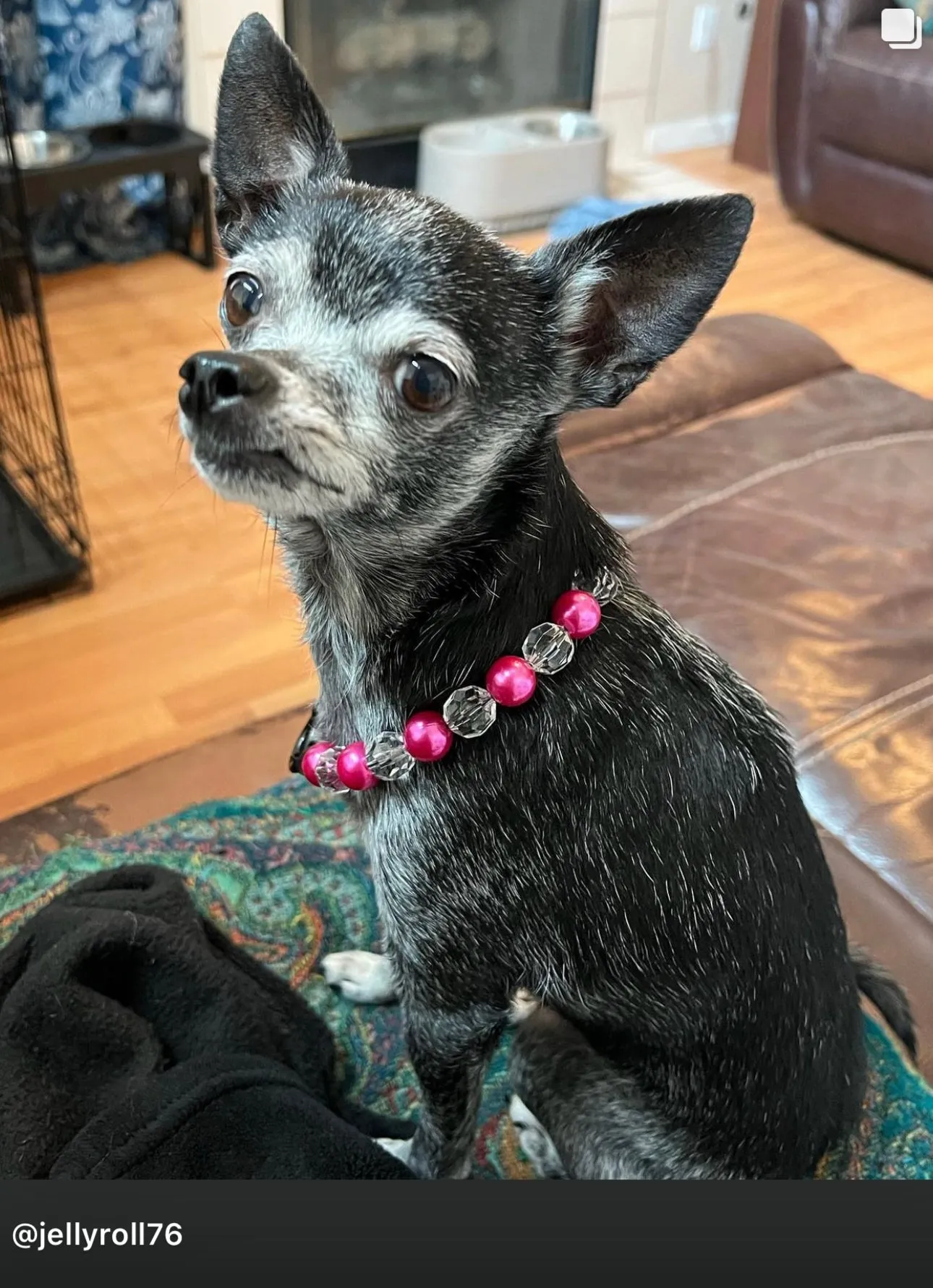 Magenta Disco MINI Acrylic [Small Dog/Cat Bead Collar]