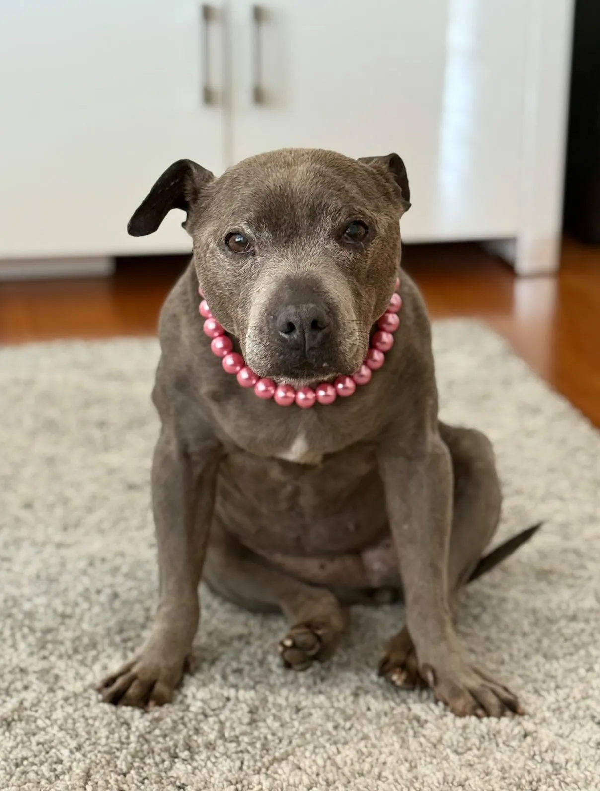 Mini Bubblegum Pink Pearl Single Strand Acrylic Bead Collar