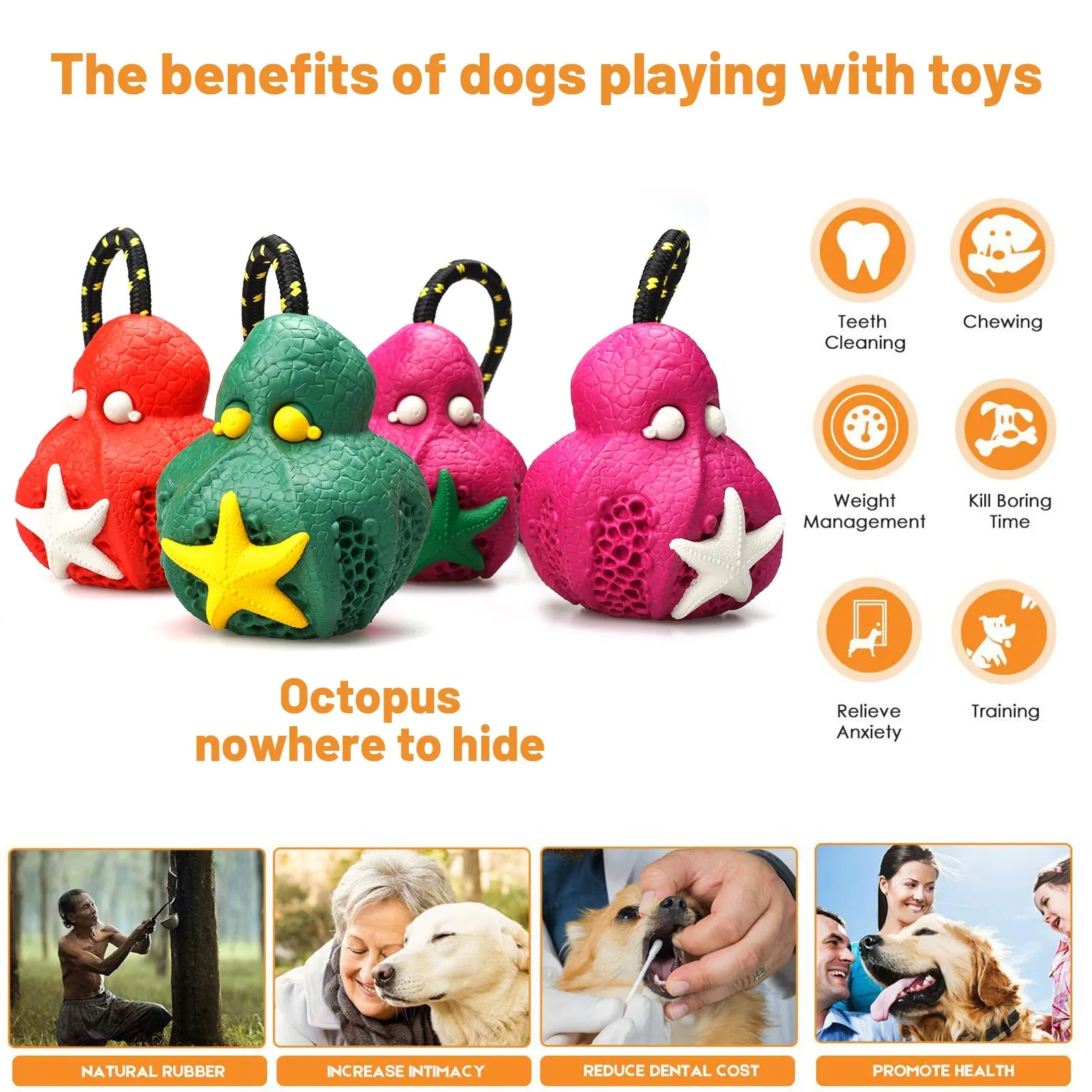 Petopia Tough Reef Octopus with Rope Large Rubber Dog Toy Assorted Colours^^^