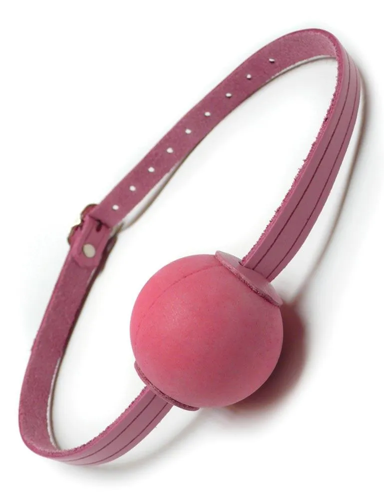 Pink Ball Gag