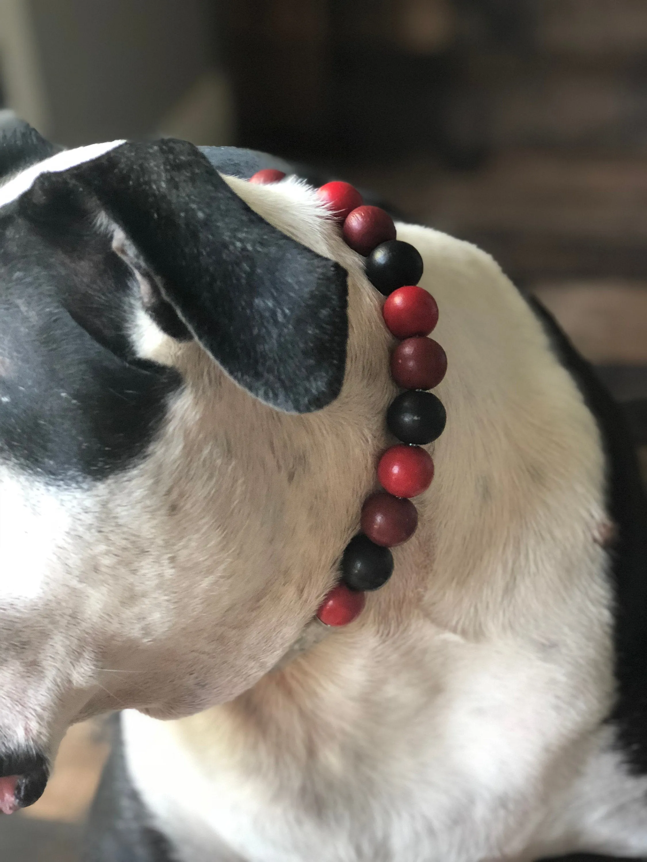 Red Casino Acrylic Bead Collar