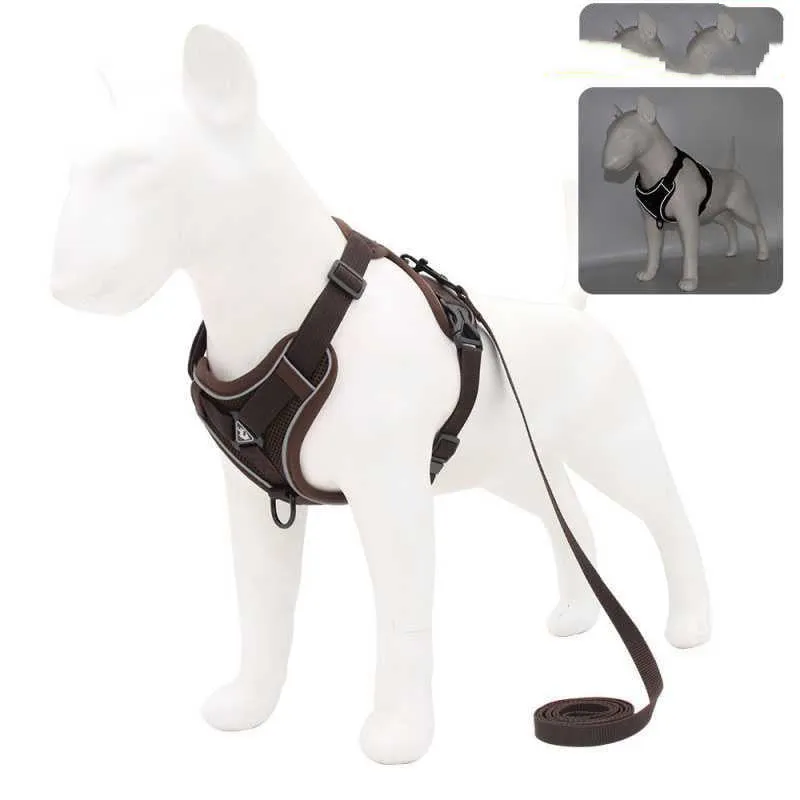 Reflective Vest-Style Harness for Small to Medium Dogs