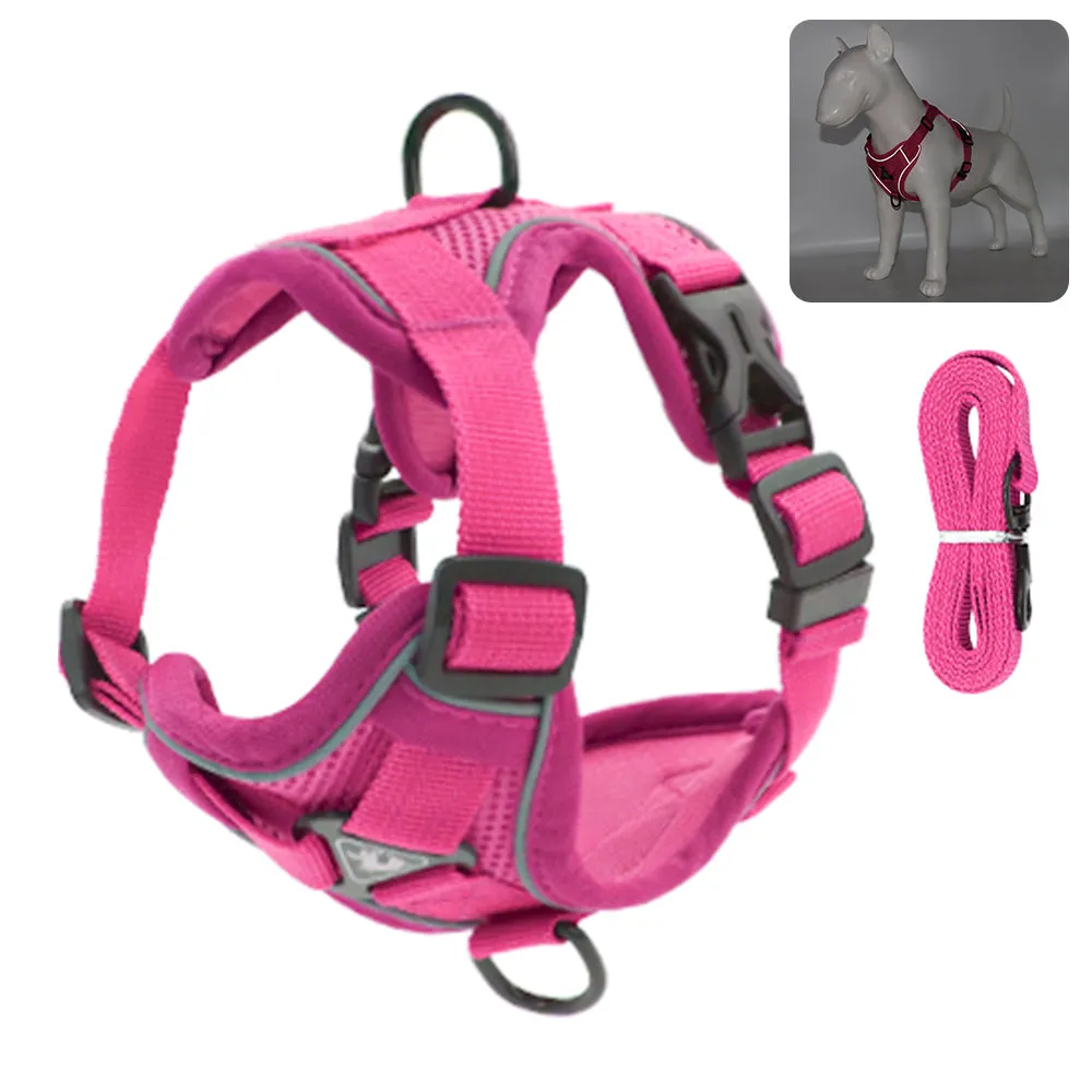 Reflective Vest-Style Harness for Small to Medium Dogs