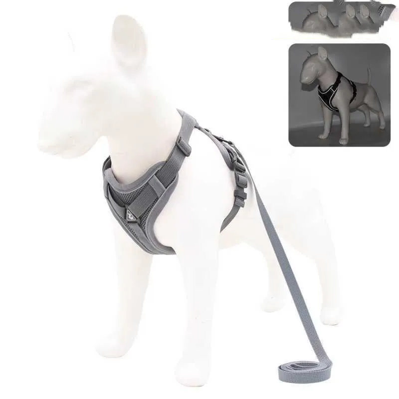 Reflective Vest-Style Harness for Small to Medium Dogs