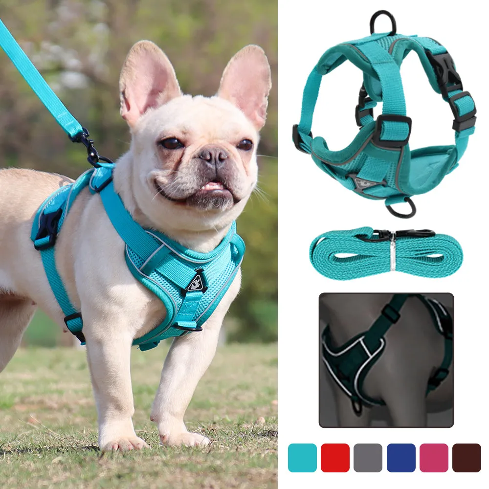 Reflective Vest-Style Harness for Small to Medium Dogs