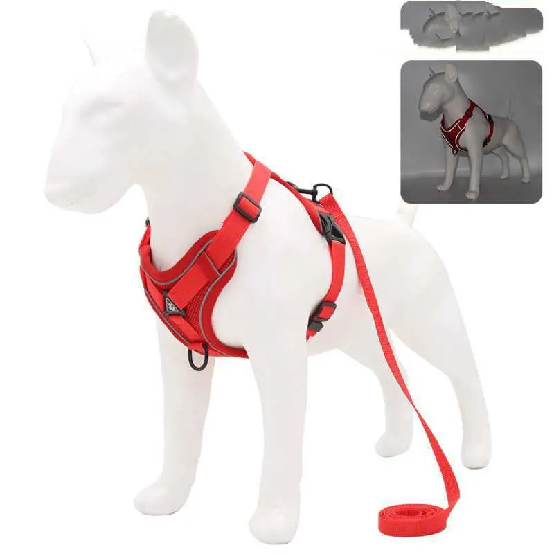 Reflective Vest-Style Harness for Small to Medium Dogs