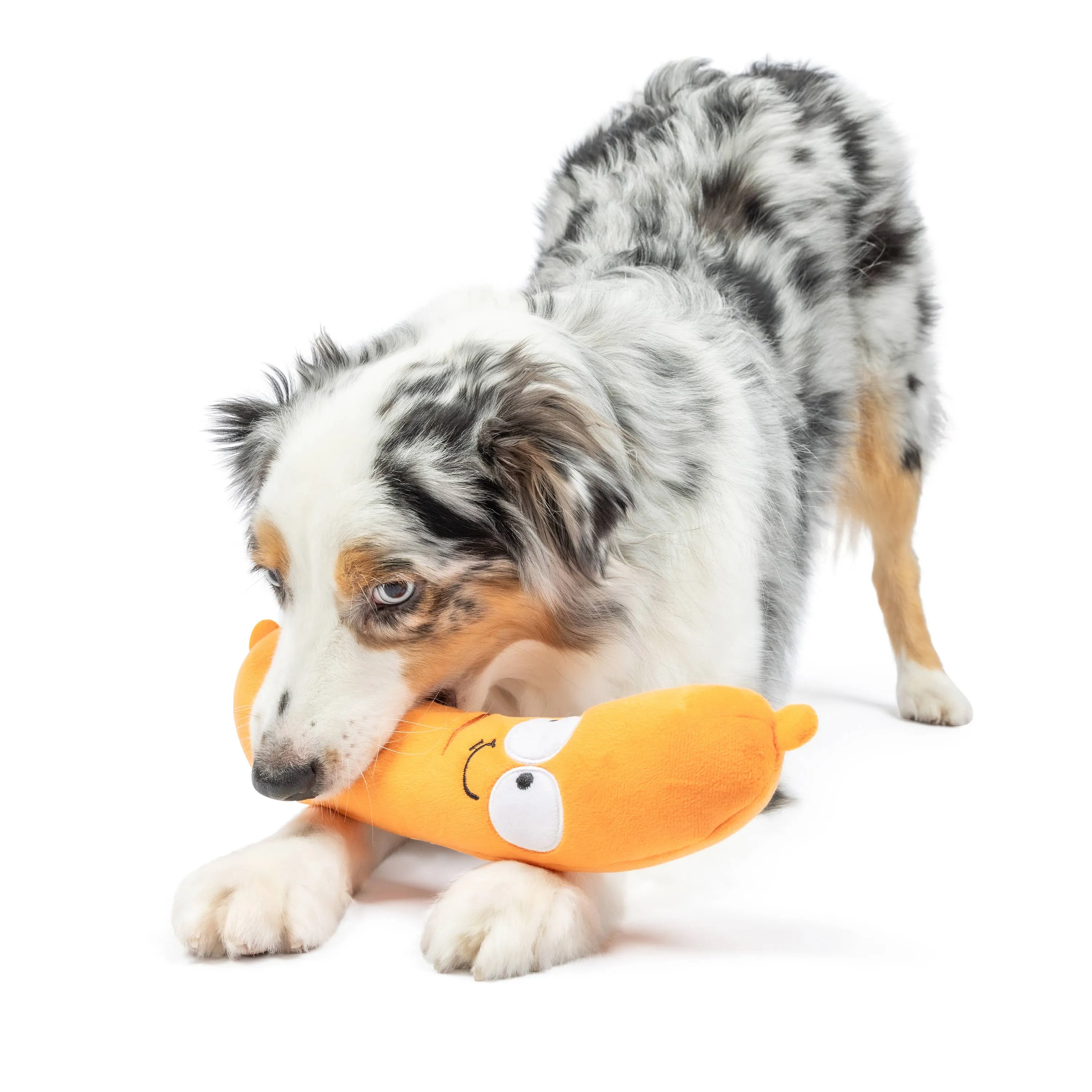 Sammy Sausage Dog Toy