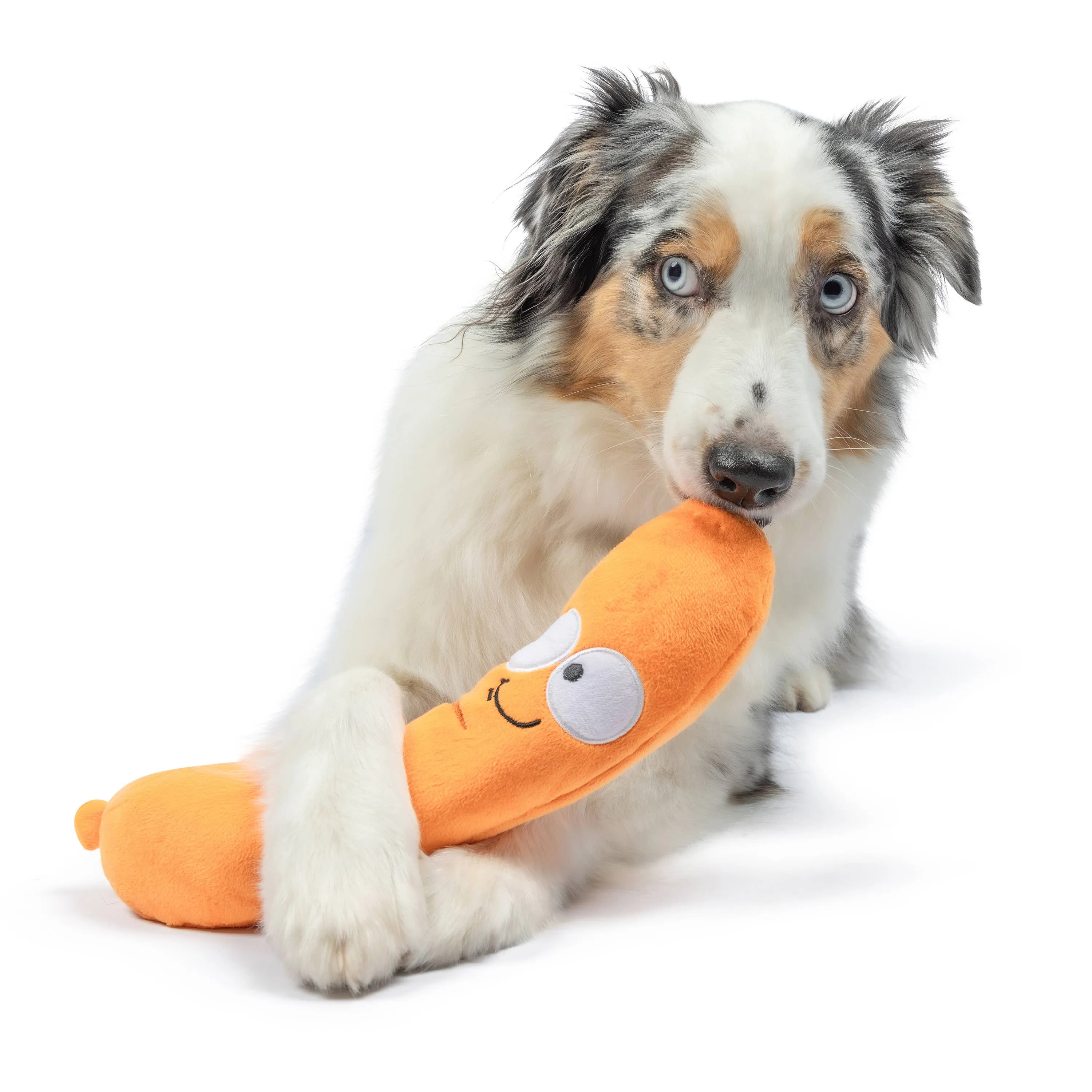 Sammy Sausage Dog Toy